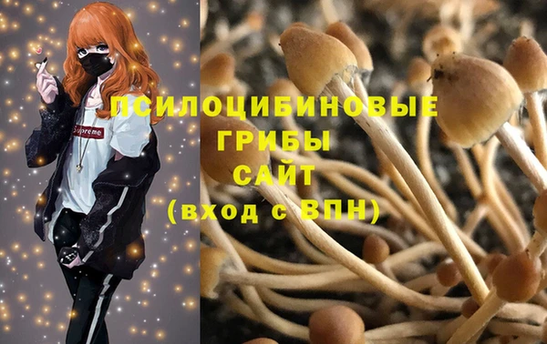 спайс Медвежьегорск