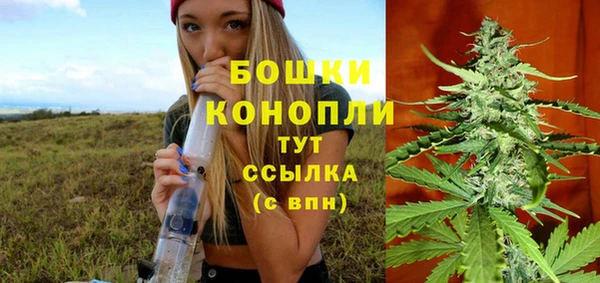 дживик Медногорск