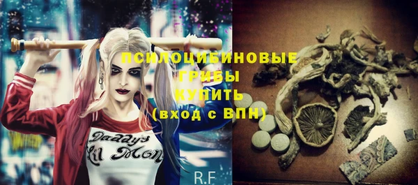 спайс Медвежьегорск
