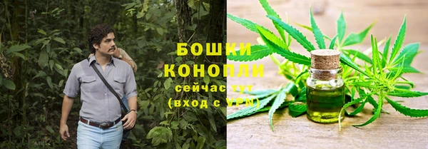 спайс Медвежьегорск