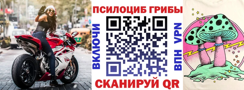 Псилоцибиновые грибы Psilocybine cubensis  Нерчинск 